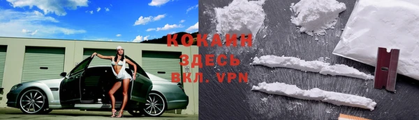 стафф Алзамай