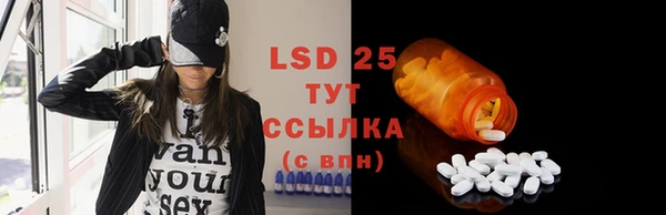 стафф Алзамай